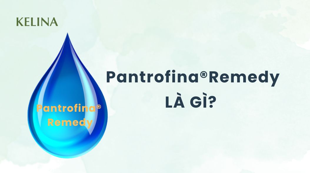 Pantrofina remedy là gì